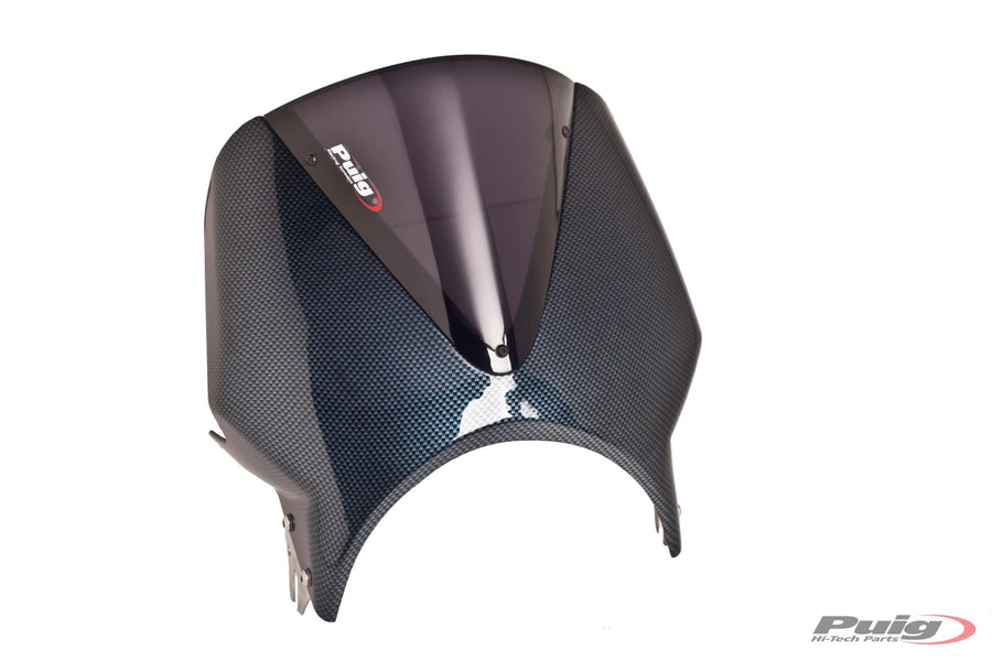 HONDA CB 600 F HORNET [2004] – Vision windshield visor – heavily tinted