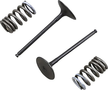 Suzuki RM 250 [PROX] – valve and spring set