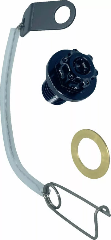 Yamaha TT 600 [PSR] - magnetic oil drain screw