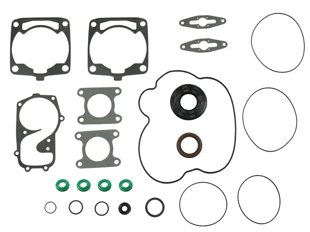 POLARIS 600 IQ [2009] - Seal kit for snowmobiles
