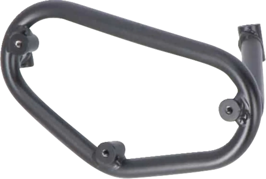 BMW F 900 [SW-MOTECH] – SLC side luggage rack