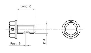Kawasaki VN 1500 Classic [Tecnium] - magnetic drain screw - 0