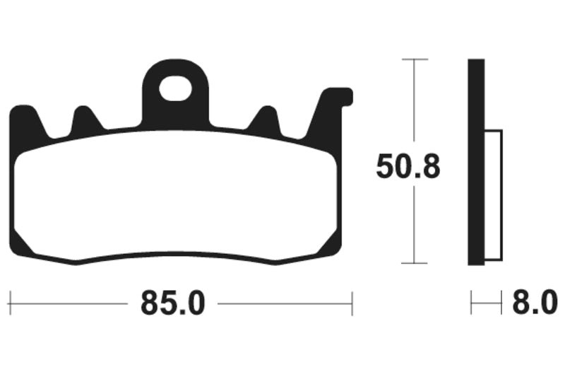 Harley -Davidson Pan America 1250 RA1250 [Tecnium] - brake pads