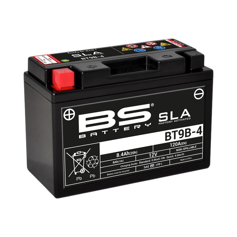 Yamaha XT 660 X [BS Battery] - motorcycle battery
