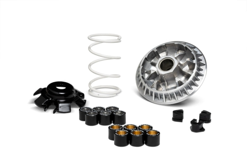 Kawasaki J 300 [MALOSSI] - Multivar 2000 variator