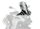 CFMOTO 450 SR [2025] – Z-Racing Screen – Tinted