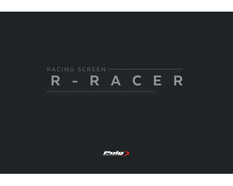 KAWASAKI ZX-10RR NINJA PERFORMANCE [2018] – R-Racer screen – heavily tinted