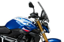 BMW R 1250 R [2025] – New Generation Touring – Tinted-10