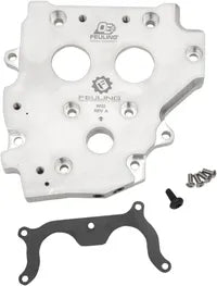 Harley-Davidson FXDLI 1450 EFI Dyna Low Rider [2005] - OE+ camshaft plate - type: chain, hydraulic - picture 3