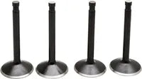 Harley Davidson Panhead [KIBBLEWHITE] – Black Diamond™ Engine Valve Kit