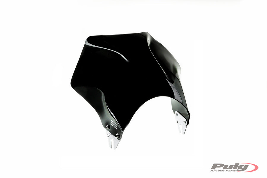 HONDA CB 600 F HORNET [2004] – Raptor – Heavily tinted