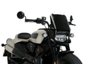 HARLEY DAVIDSON SPORTSTER S RH 1250 S [2024] – Fury – Tinted-32