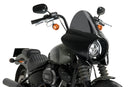 HARLEY DAVIDSON SOFTAIL STREET BOB FXBB [2019] – Mirage – Heavily tinted-2
