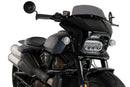 HARLEY DAVIDSON SPORTSTER S RH 1250 S [2024] – Fury – Heavily tinted-35