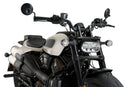 HARLEY DAVIDSON SPORTSTER S RH 1250 S [2024] – Fury – Tinted-25