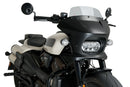 HARLEY DAVIDSON SPORTSTER S RH 1250 S [2024] – Fury – Tinted-9