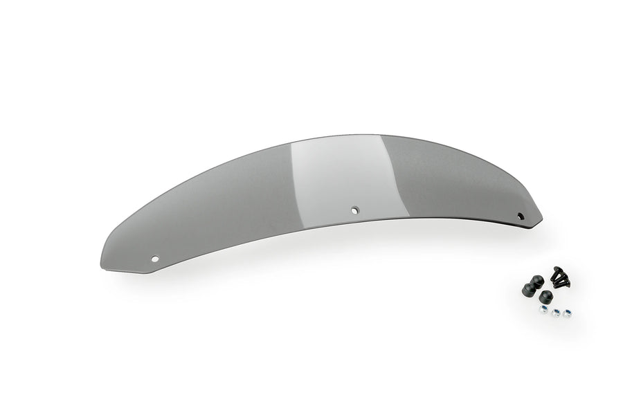 BMW F 900 R [2025] - PUIG sports replacement screen Batwing SML | Tinted | PUIG 21606H