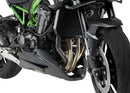 KAWASAKI Z 900 SE [2025] – Adjustable brake foot pedal – Black-1