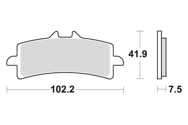 DUCATI 1100 PANIGALE V4 S [2018-2020] - Dual Sinter brake pads