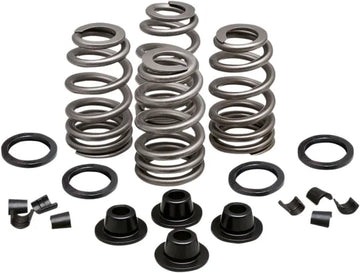 Daytona 660 [KIBBLEWHITE] – Beehive Valve™ Valve Spring Kit
