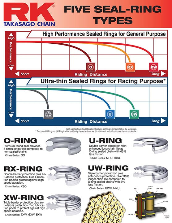 BETA RR 390 [2015-2019] - 520 gold
