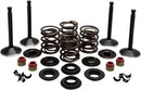 Harley Davidson FL Shovel [KIBBLEWHITE] - Engine Valve Kit