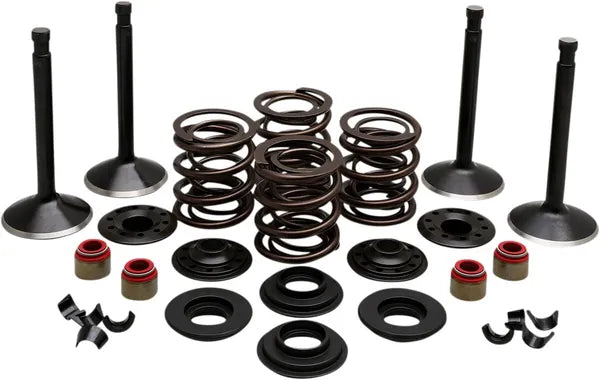 Harley Davidson FL Shovel [KIBBLEWHITE] - Engine Valve Kit
