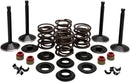 Harley Davidson FL Shovel [KIBBLEWHITE] - Engine Valve Kit