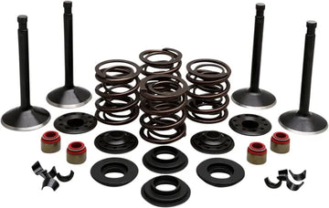 Harley Davidson FX Shovel [KIBBLEWHITE] - Engine Valve Kit