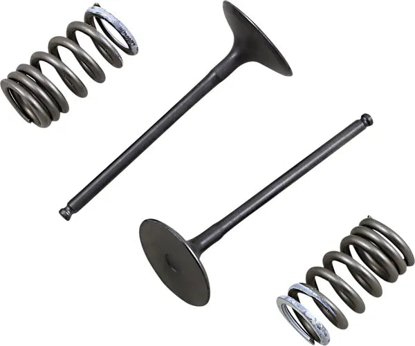 Suzuki RM 250 [PROX] – valve and spring set