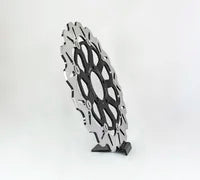 Mv Agusta F4 750 AGO [2003-2004] - brake discs - picture 9