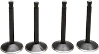Harley Davidson FX Shovel [KIBBLEWHITE] – Black Diamond™ Engine Valve Kit