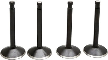 Harley Davidson Fxwg [KIBBLEWHITE] – Black Diamond™ Engine Valve Kit