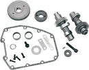 Harley-Davidson FLRT 1690 Freewheeler [2015-2016] - Kettenantrieb Nockenwellen-Kit – Bild 8