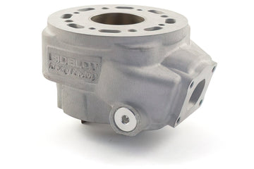 Beta RR Track 50 2T - Zylinderkit Racing RF50WR
