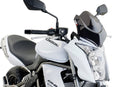 KAWASAKI ER-6N [2011] – New Generation Sport – Heavily tinted
