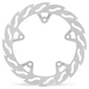 Bmw R Nine T ABS [2023] - brake disc – picture 10
