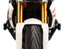 BMW G 310 GS [2017-2025] - Protection bar
