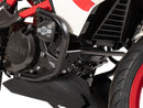 BMW G 310 GS [2017-2025] - Protection bar