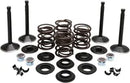Harley Davidson FX Shovel [KIBBLEWHITE] - Engine Valve Kit