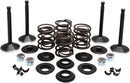 Harley Davidson FX Shovel [KIBBLEWHITE] - Engine Valve Kit