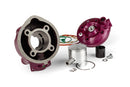 Beta RR SM 50 2T - Zylinderkit Due Plus 75 ccm