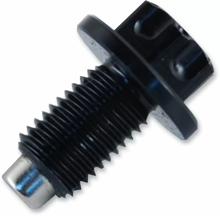 Suzuki Intruder 1500 VL [PSR] - magnetic oil drain screw