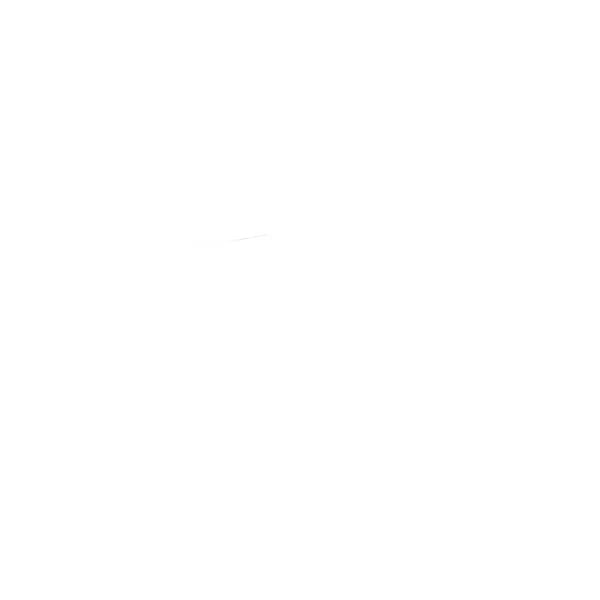 Harley-Davidson XL 1200 C Sportster Custom [2020] - Grand National Slip-On Schalldämpfer – Bild 7
