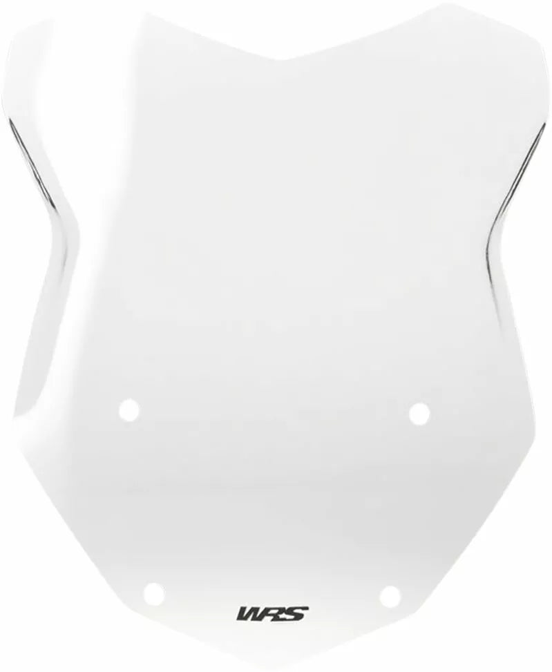 BMW R 1200 R [WRS] - windshield