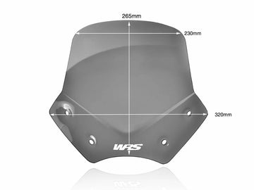 BMW R 1200 R [WRS] - windshield - 0