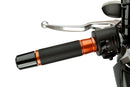 APRILIA RS 125 REPLICA [2025] – Ascent Grips – Silver-32