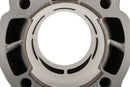 Fantic XE 50 2T - Zylinderkit Big Racing 77ccm