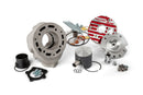 Beta RR SM 50 2T - Zylinderkit Testa Rossa 100