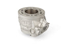 Aprilia SX 50 2T - cylinder kit 100cc